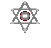 DDS-NET